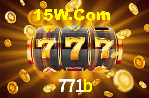 771b - Installation Guide